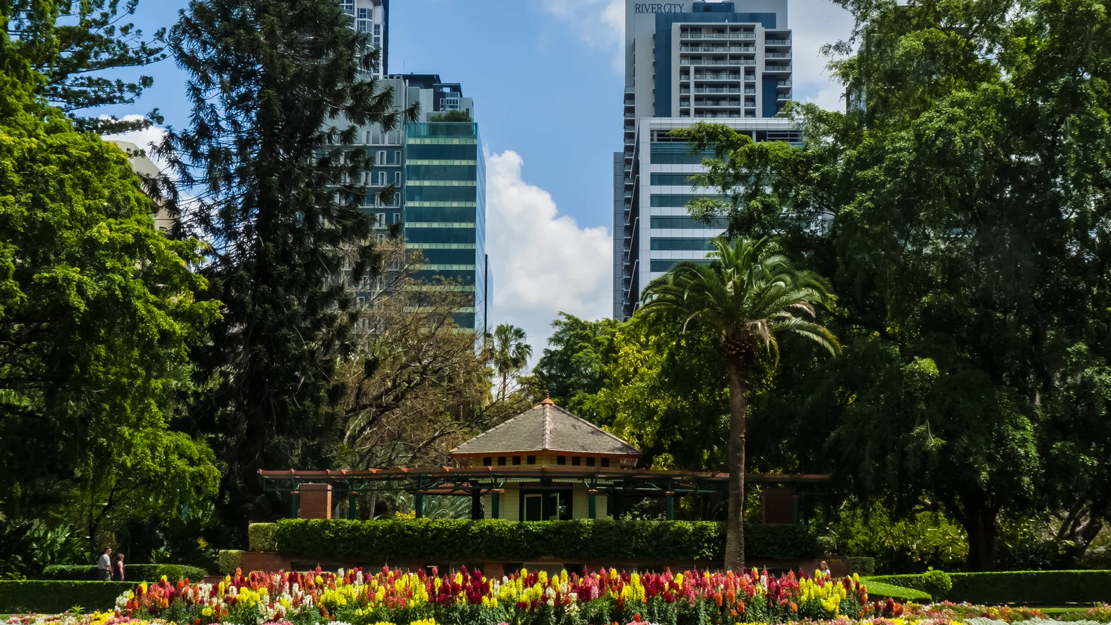 Flower beds and trees at Brisbane City Botanic Gardens