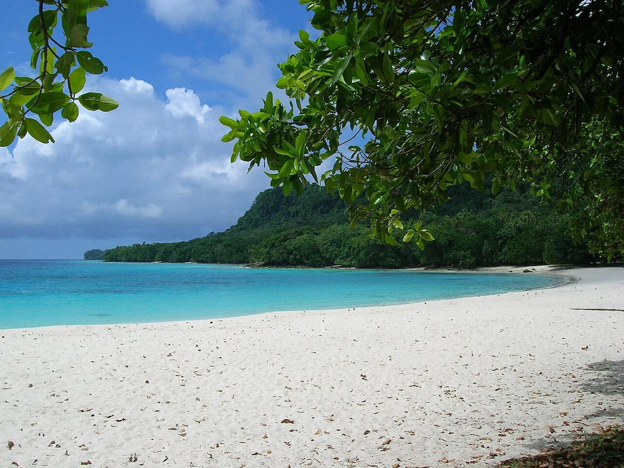 Champagne Beach à Espiritu Santo