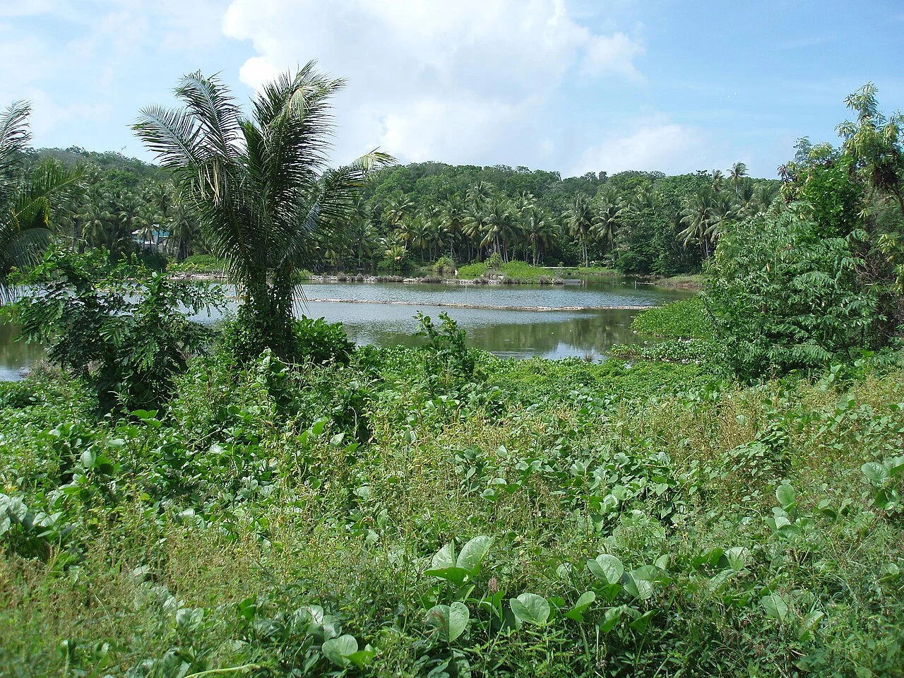 Laguna de Buada