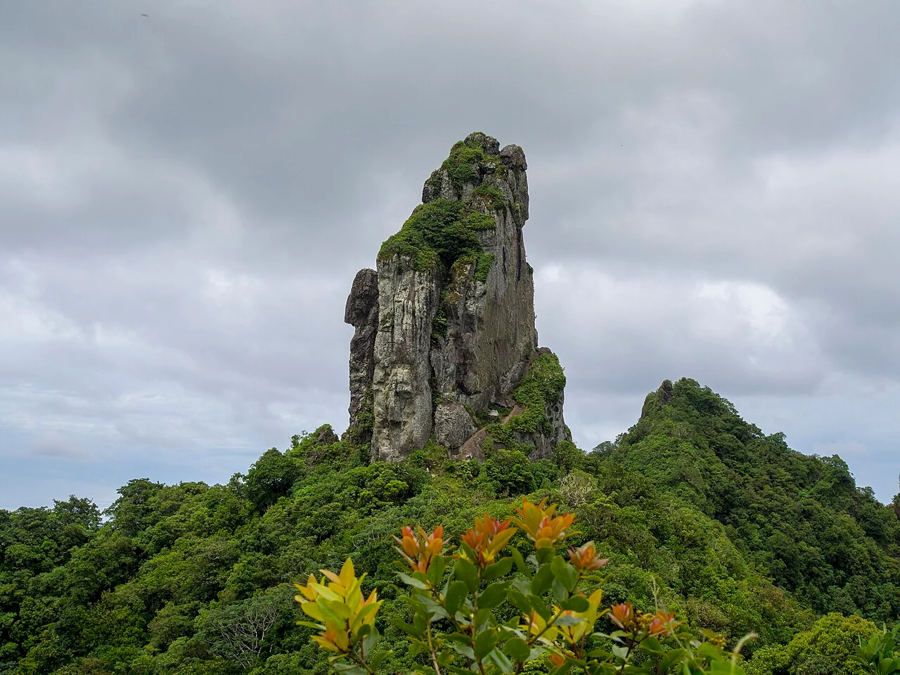 Te Rua Manga — The Needle