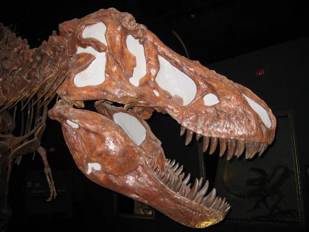 Royal Tyrrell Museum - Drumheller et vallée de la Red Deer
