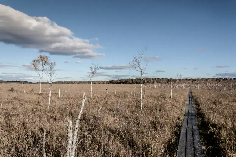 Parc national de Store Mosse - Småland