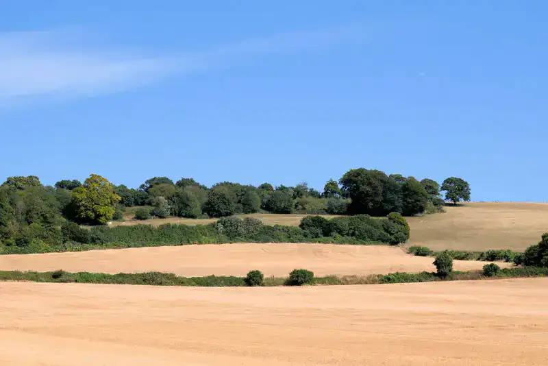 Kent Downs