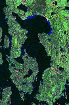 Cynthia Peninsula - Temagami
