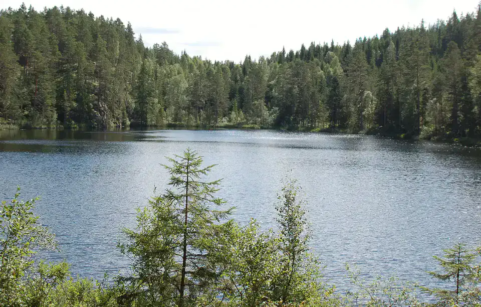 Réserve naturelle de Glaskogen - Värmland