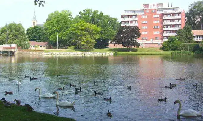 Avon River - Stratford