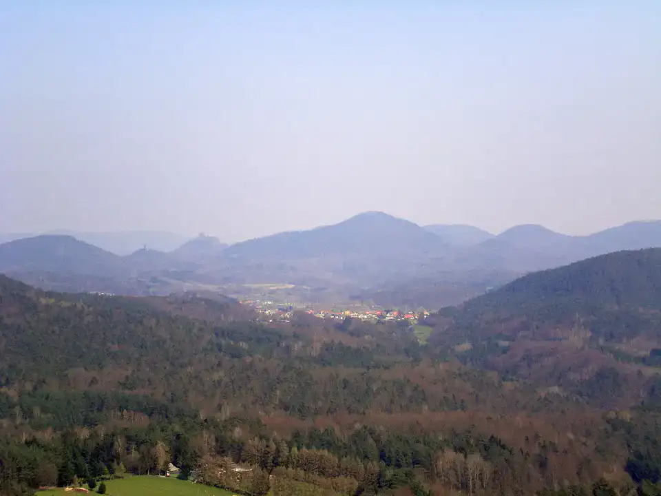 Forêt palatine - Foret palatine et route des vins