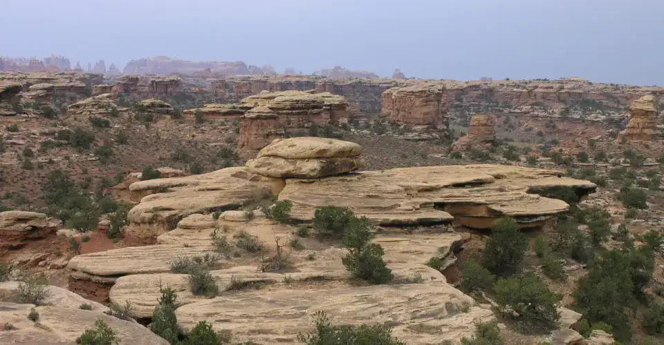 The Needles - Canyonlands