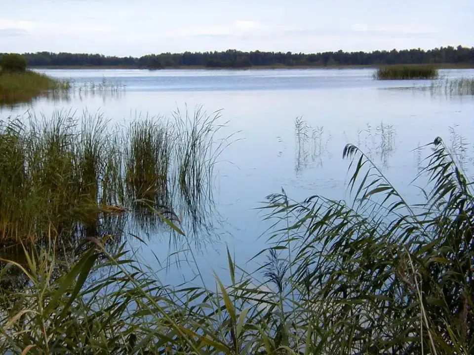 Lac Kaņieris - Parc national de Ķemeri