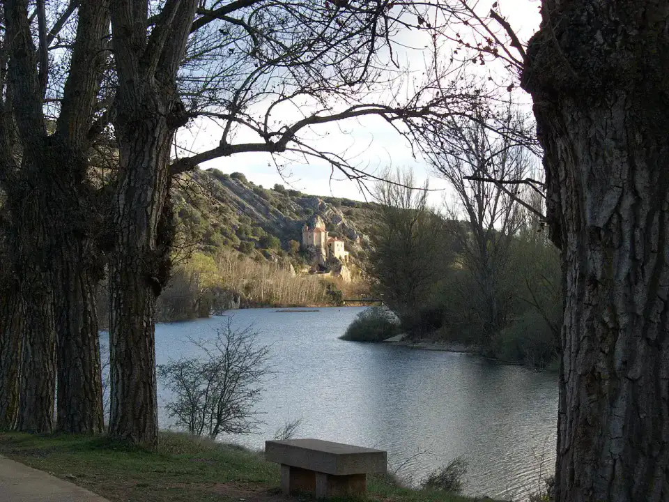 Vignoble de Ribera del Duero