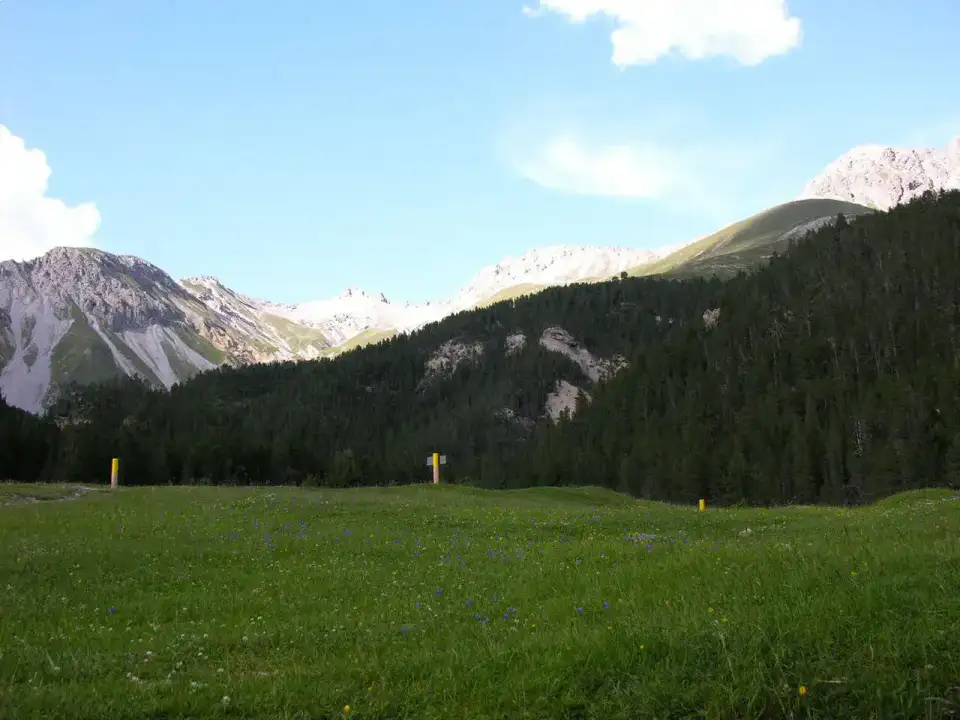 Parc national suisse - Parc national suisse et Basse-Engadine