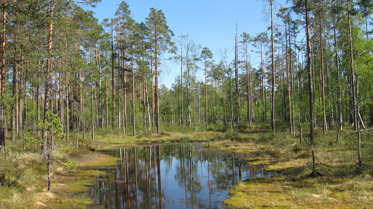 Lauhanvuori - Seinäjoki et les plaines de l'Ostrobotnie