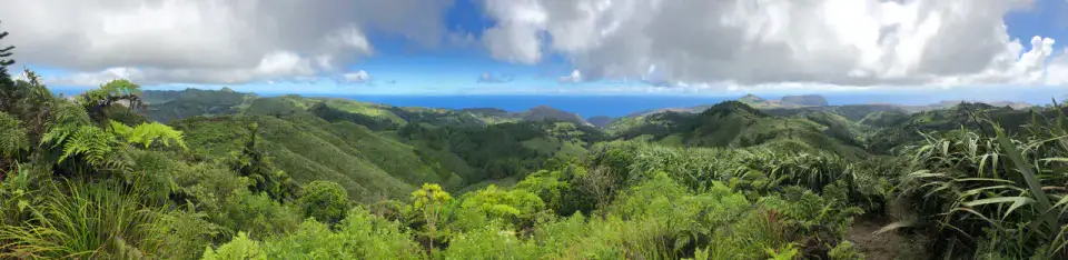 Diana's Peak - Sainte-Hélène