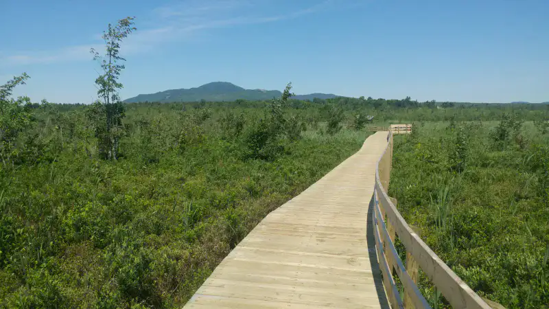 Marais de la Rivière aux Cerises - magog-memphremagog
