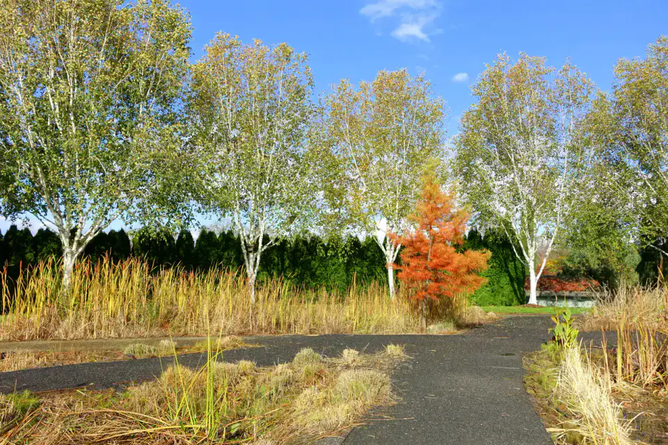 Oregon Garden - Willamette Valley