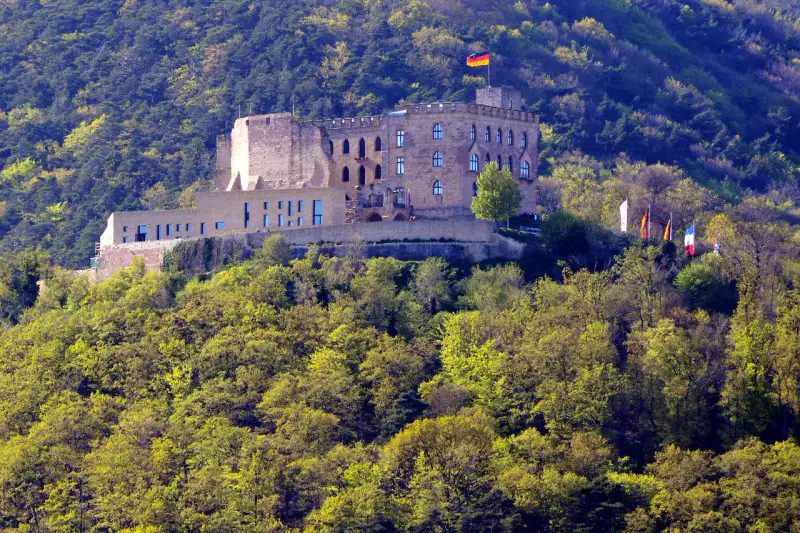 Hambacher Schloss - Foret palatine et route des vins