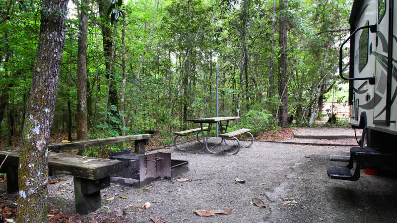 Village Creek State Park - Big Thicket