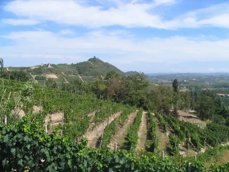 Asti - Langhe, Roero et Monferrato