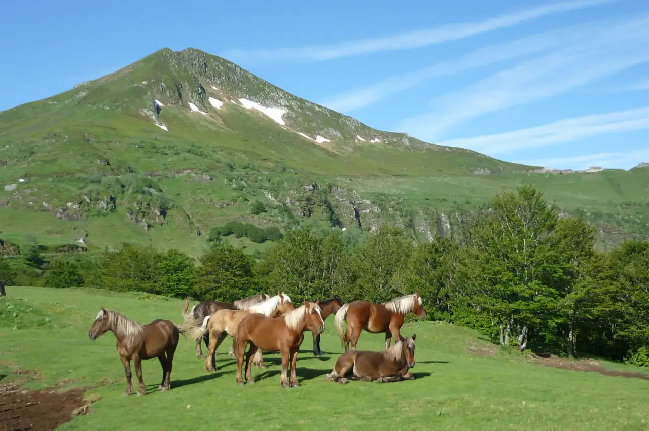 Puy Mary - Cantal