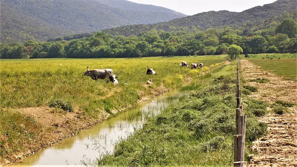 Parc naturel de la Maremme - Maremme toscane