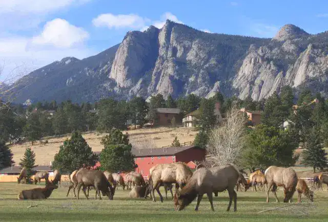 Lumpy Ridge - Estes Park