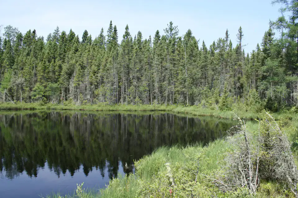 Chequamegon–Nicolet National Forest - Northwoods du Wisconsin