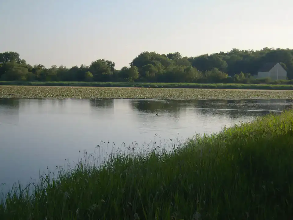 Rosnay - Parc naturel de la Brenne