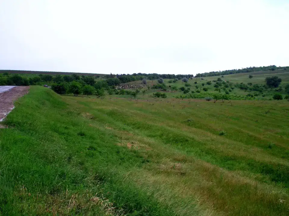 Căușeni — Căușeni