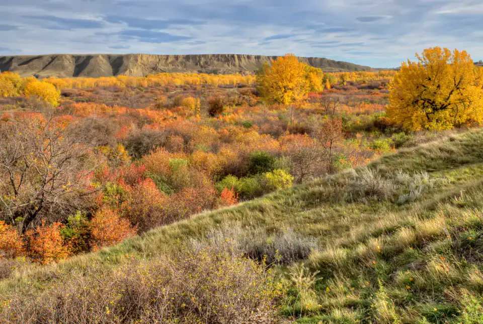 Police Point Park - Medicine Hat