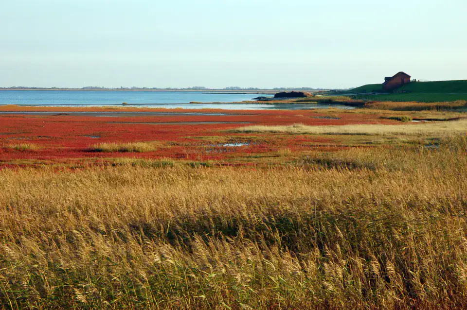 Schleswig - Schleswig, Flensburg et fjord