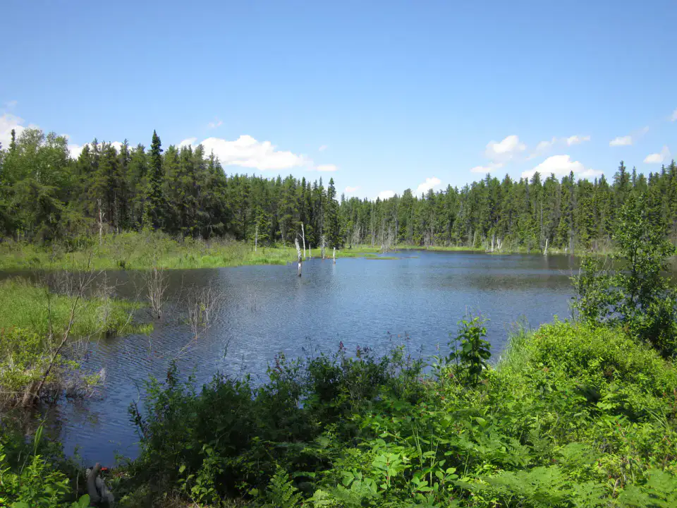Parc national de la Pointe-Taillon - Lac-Saint-Jean