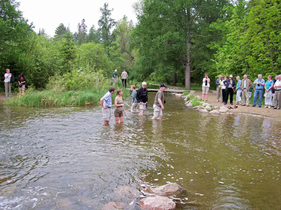 Mississippi Headwaters - Itasca et sources du Mississippi