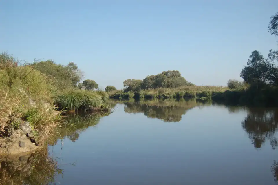 Parc naturel régional de Brière - Guérande et Brière