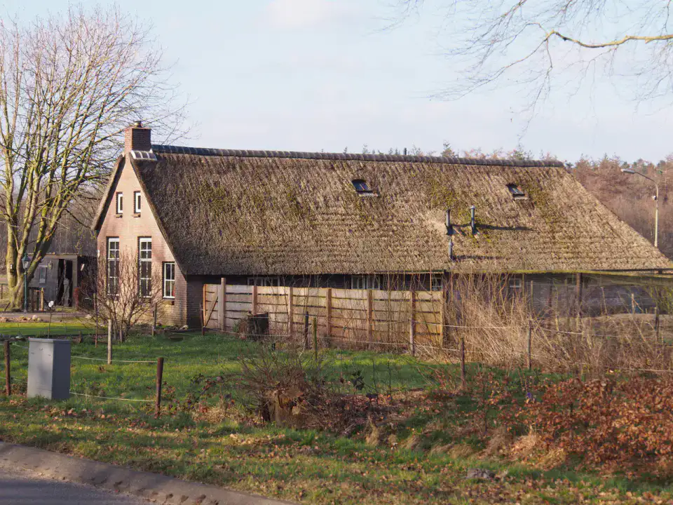 Wilhelminaoord - Colonies de bienfaisance