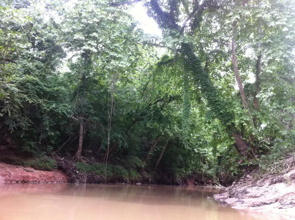 Buffalo Bayou Park - Houston