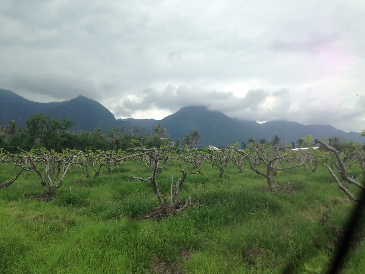 Dulan — Taitung et la côte est