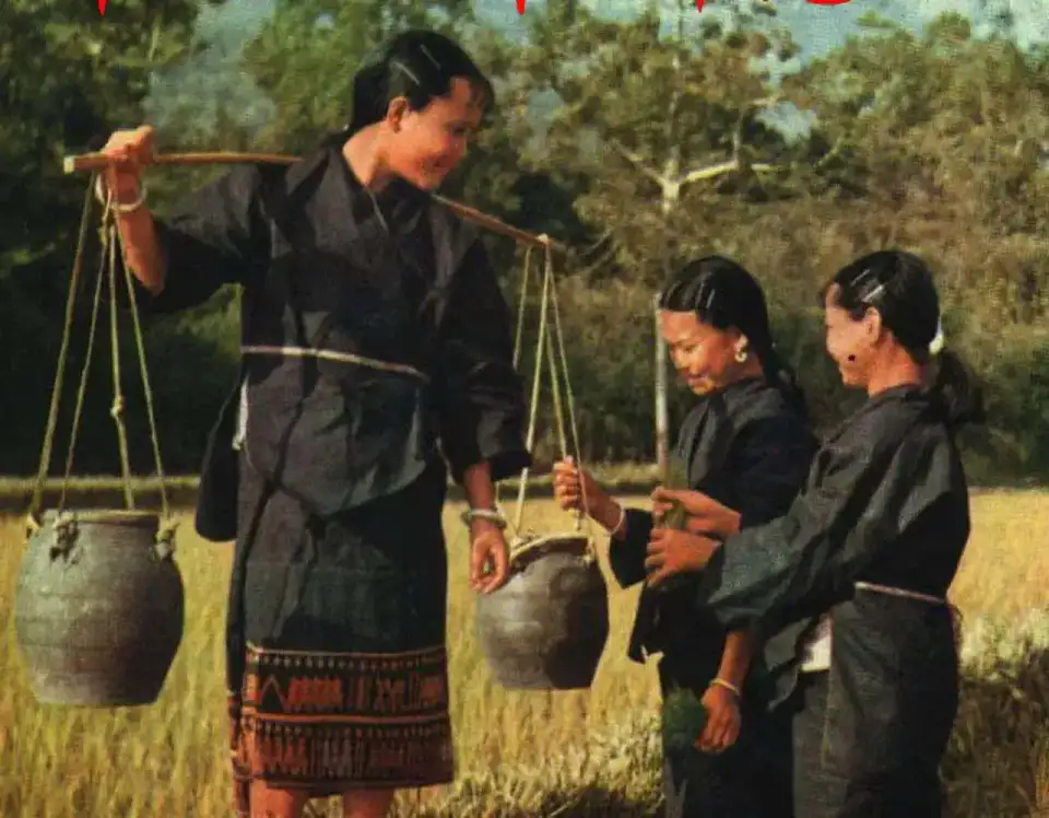 Villages du peuple li - Wuzhishan