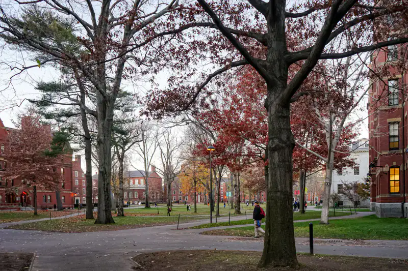 Harvard Yard - Boston et Cambridge