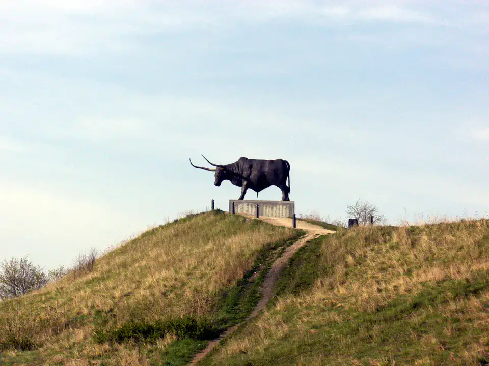Tarvas - Rakvere