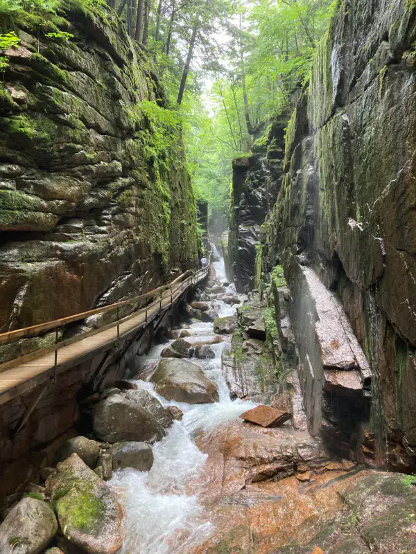 Flume Gorge - White Mountains
