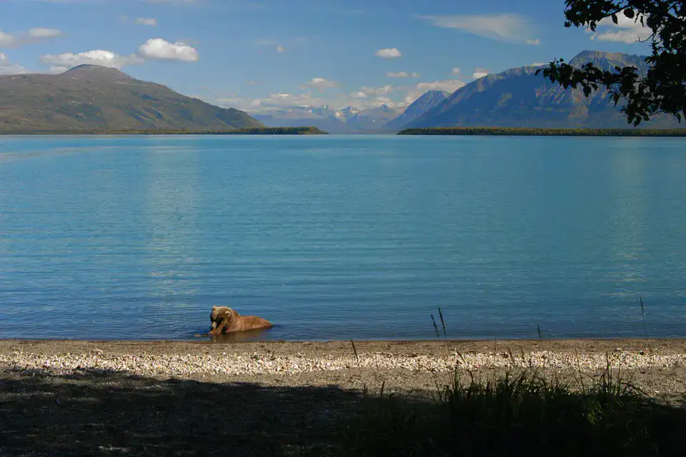 Naknek Lake - Katmai National Park
