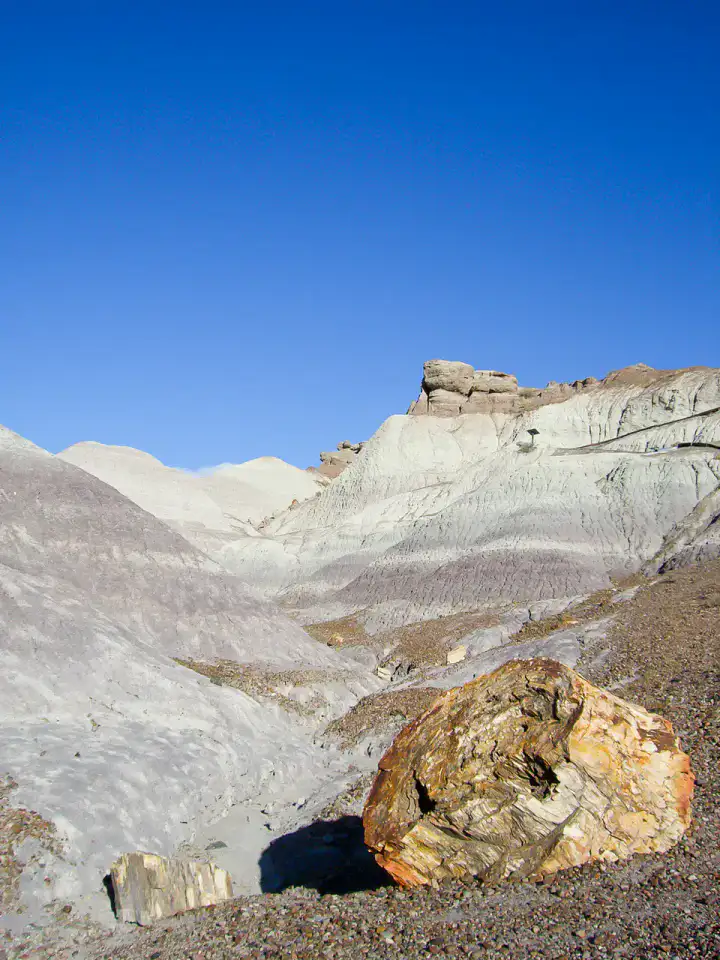 Blue Mesa - Petrified Forest et Painted Desert