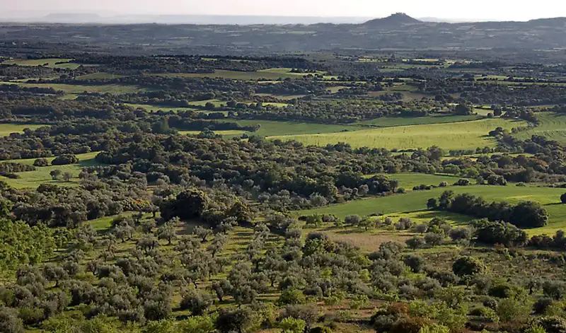Barbastro - Huesca et Somontano