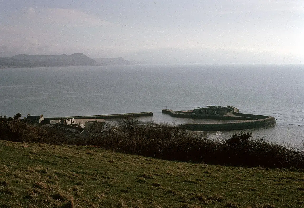 The Cobb