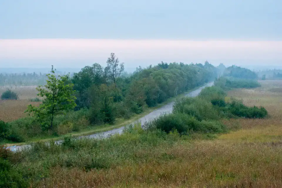 Carska Droga — Marais de la Biebrza
