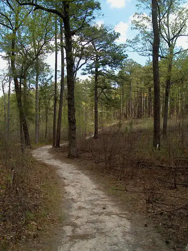 Weymouth Woods-Sandhills Nature Preserve - Pinehurst et Sandhills