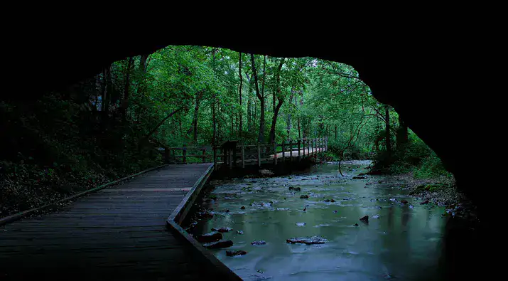 Rock Bridge Memorial State Park - Columbia
