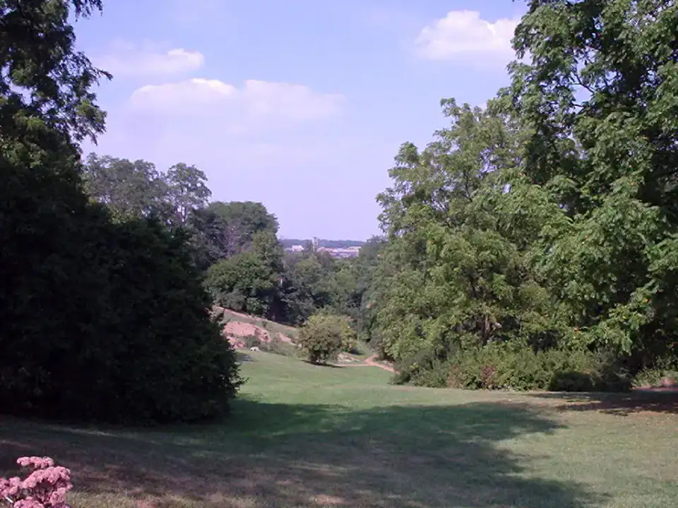 Nichols Arboretum - Ann Arbor