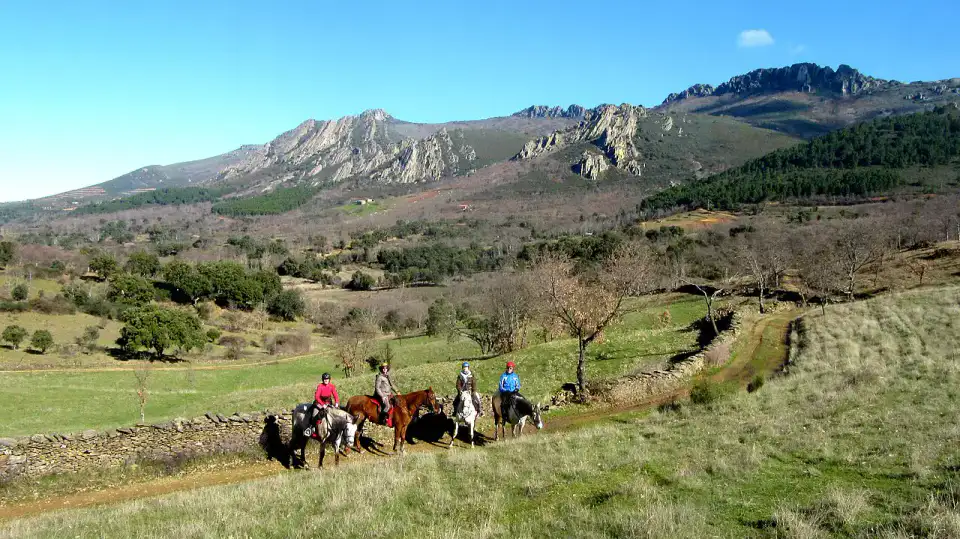 Reliefs boisés de la sierra de las Villuercas