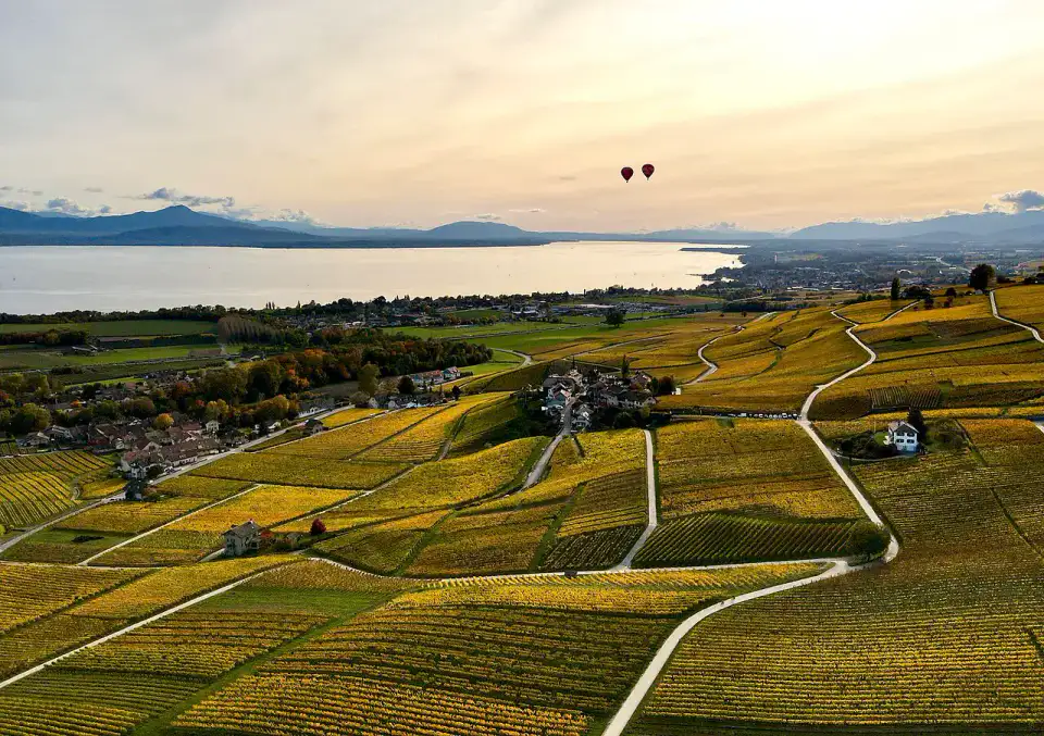 La Côte - Nyon, La Côte et campagne genevoise